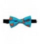 Designer Men's Ties Online Sale