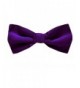 B PBT ADF 6 Boys Pre Tied Bowtie Purple